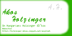 akos holzinger business card